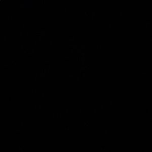 Meet your Posher, Georgia